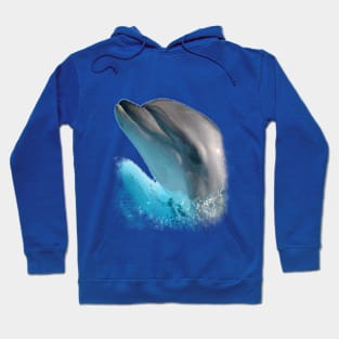 Dolphin nose Hoodie